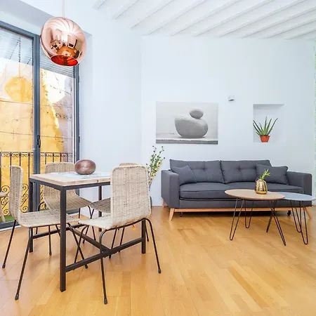Comfort Center Apartment